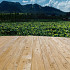 TimberTouch kantplank Old 240x15x1,5cm Golden Teak