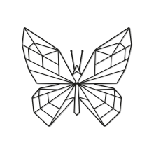 Butterfly 1.0-Small